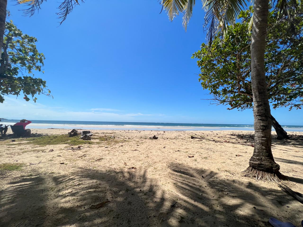 Palm-lined beach with blue sky at Tamarindo